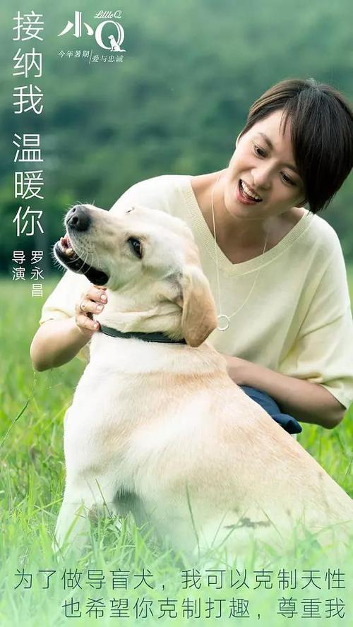 摩尔多瓦护照扫描件假的多少钱